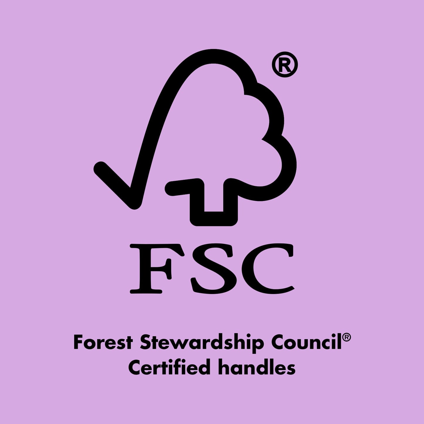 ten-out-of-ten-brush-kit-c7 0423_EDUCATION_FSC_EVERGREEN.jpg