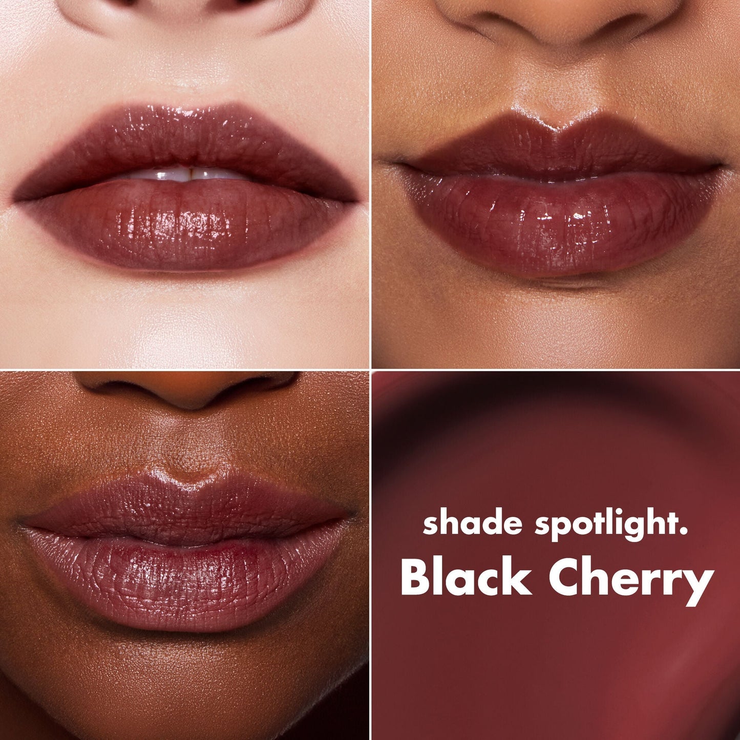 lip-lacquer-m9 0426_EDU_LipLaquer_ShadeChart_BlackCherry.jpg