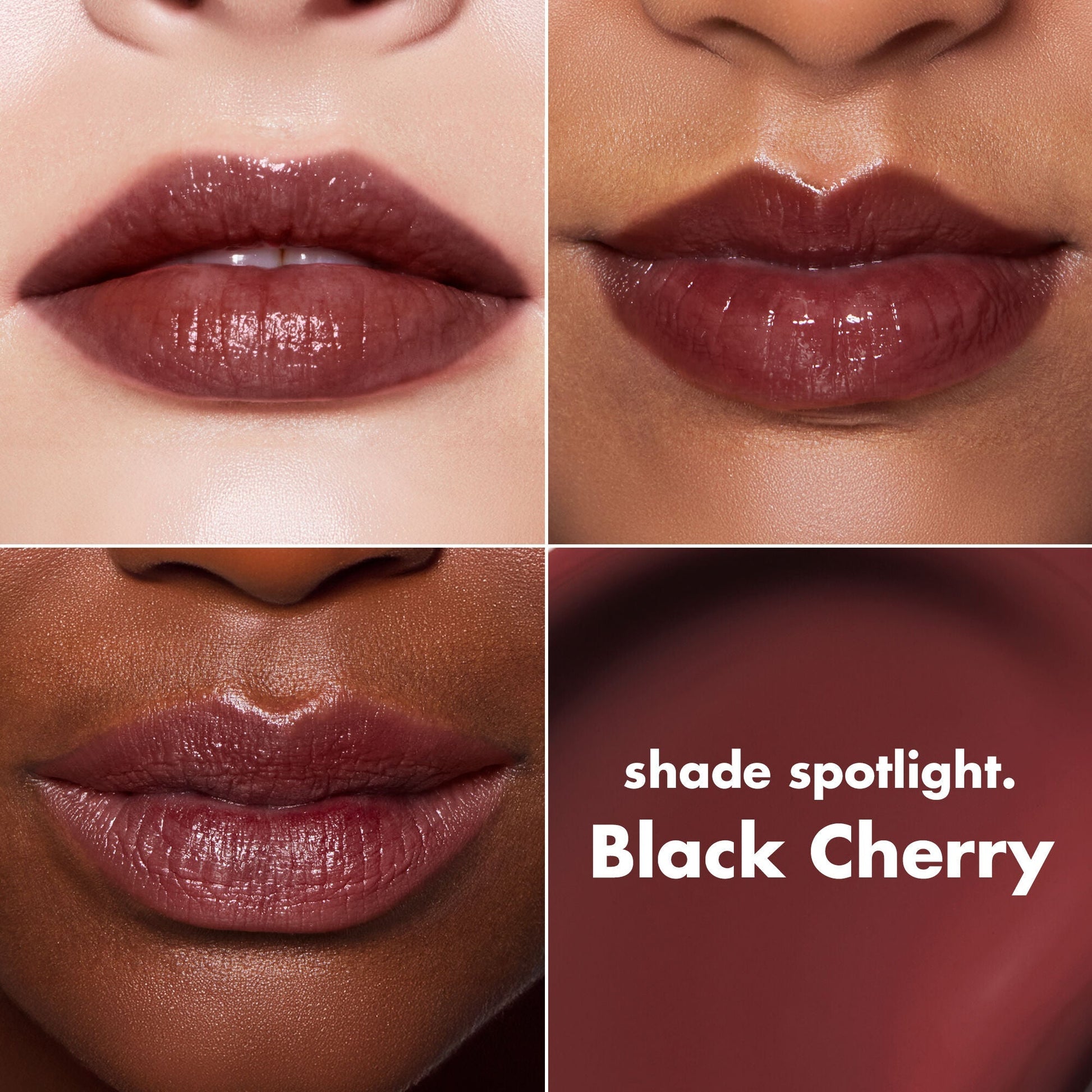 lip-lacquer-m9 0426_EDU_LipLaquer_ShadeChart_BlackCherry.jpg