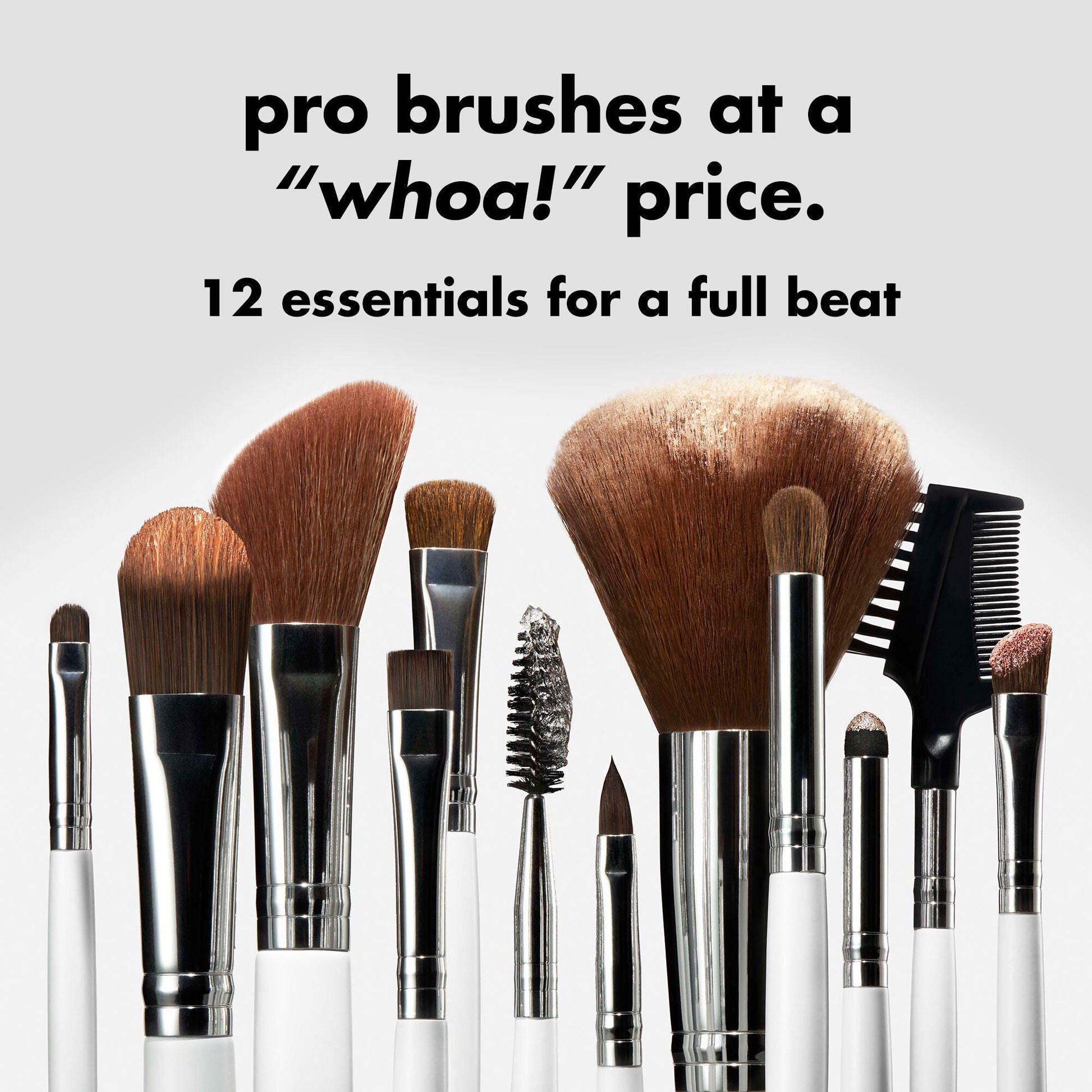 professional-set-of-12-makeup-brushes-f9 0823_PDP_BRUSHES_12-PIECE_SET_PRODUCT.jpg
