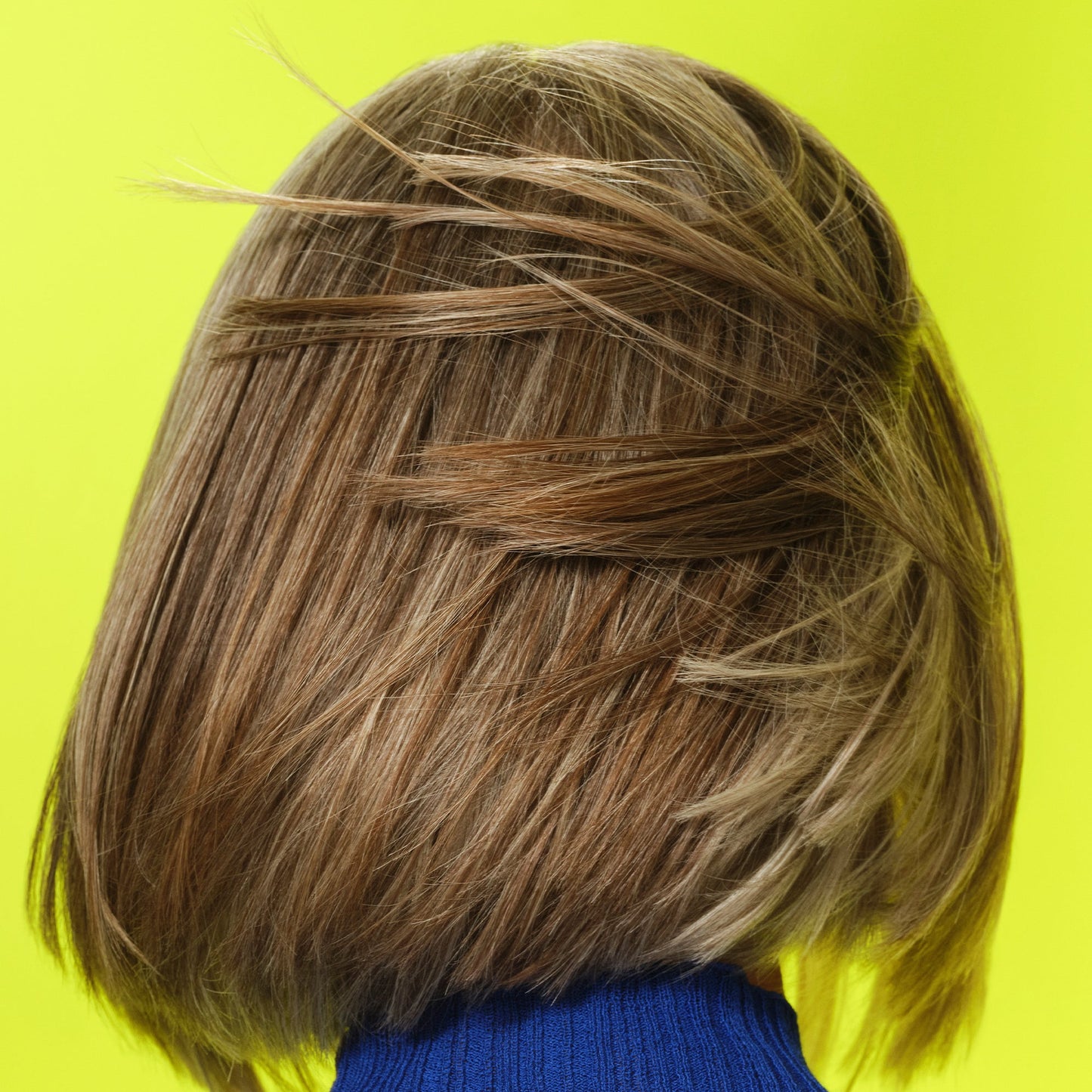 frizz-to-rizz-trio-m0 111725_Vicky_HumidityAntifrizz-Editorial_0538_w2QC_IGF_1x1_05a09617-4ccf-44a2-8545-199321a503e1.jpg