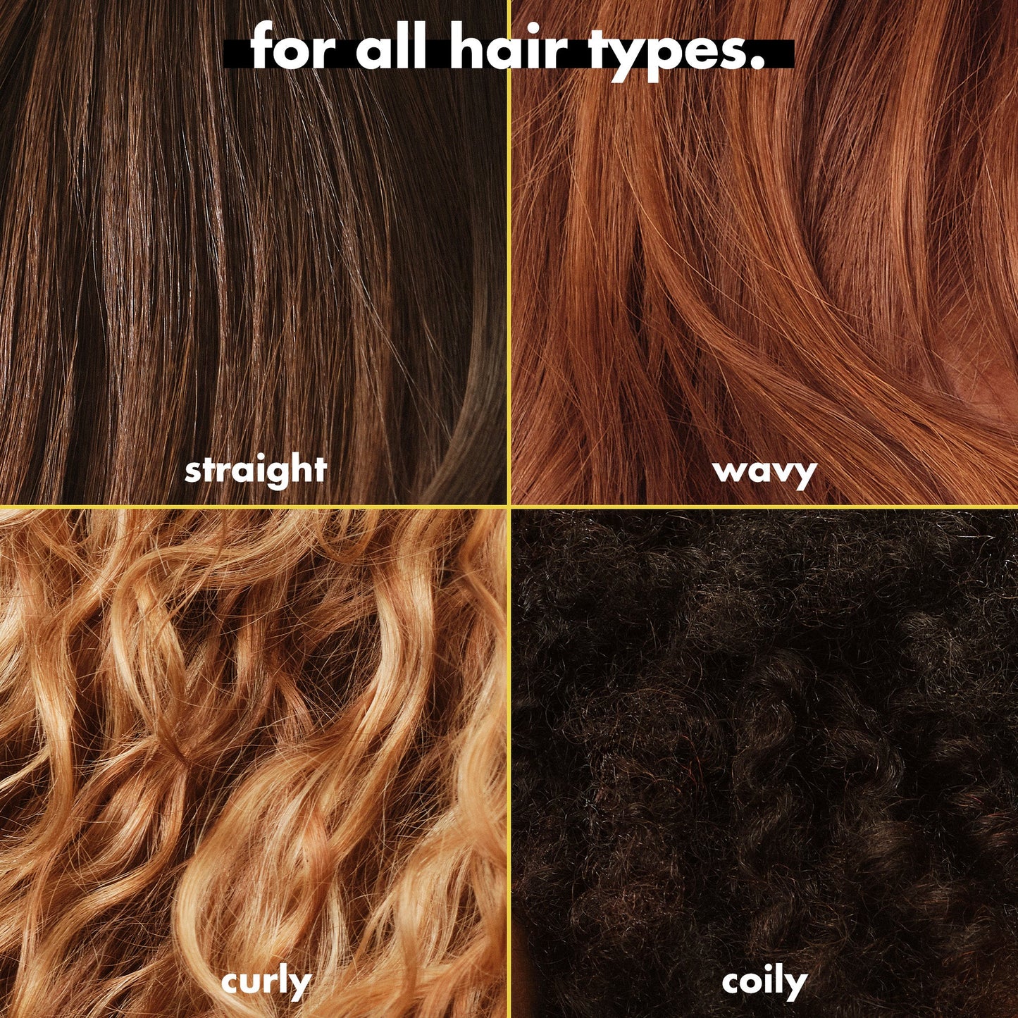 3-in-wonder-duo-w2 FA26_EDUCATION_DARE_GLOSS_MODE_ALLHAIR_TYPES.jpg